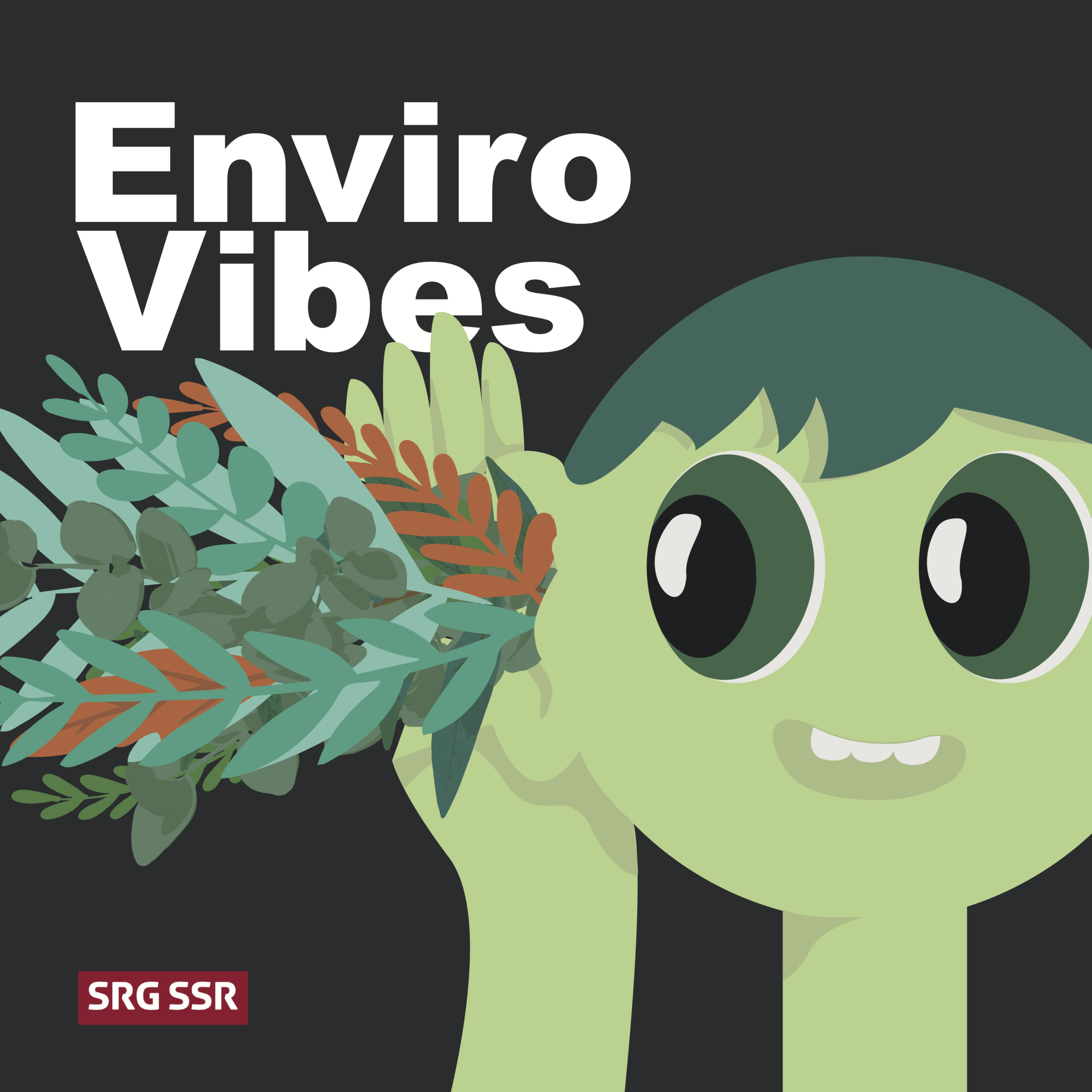 coverenvirovibes